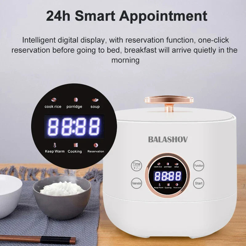 Mini Electric Rice Cooker