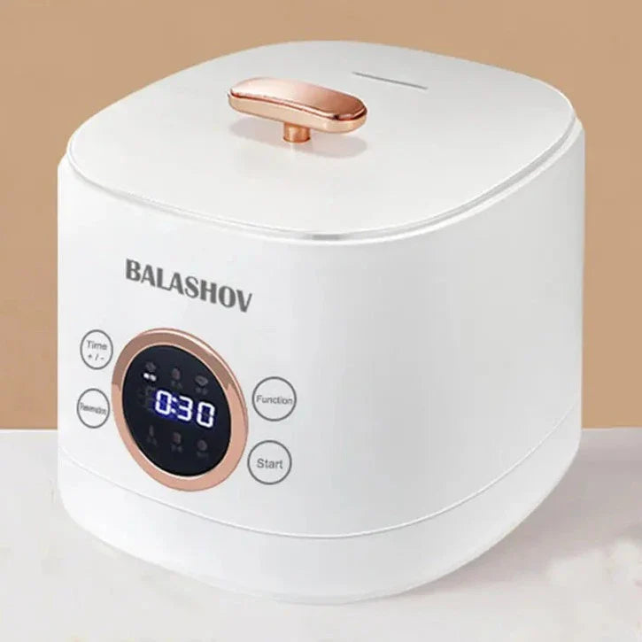Mini Electric Rice Cooker