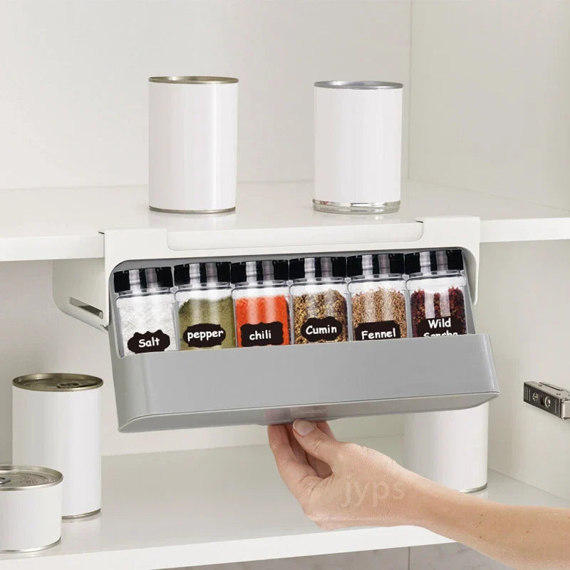 Under-Shelf Spice Organizer